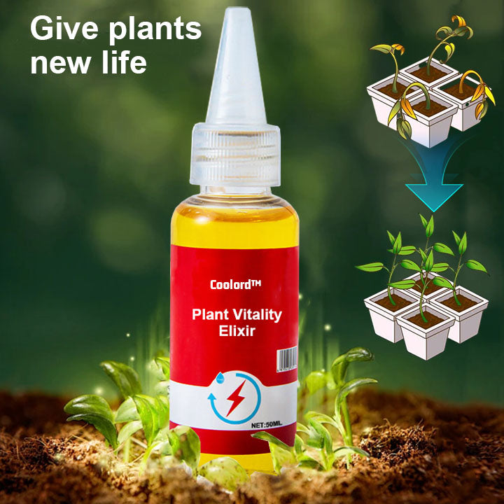 Coolord™ Phytovitamin Solution