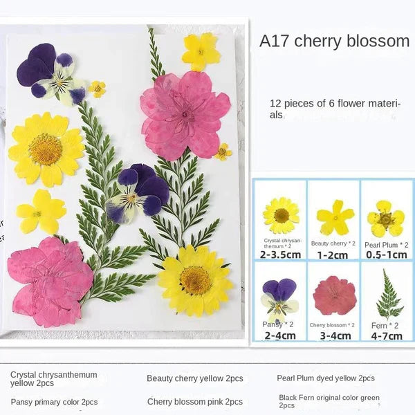 LAST DAY 85% OFF🔥Transparent Dried Flower Bookmarks